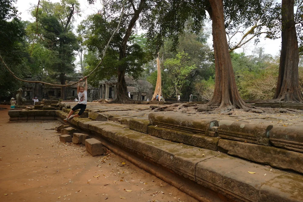 P2500340.jpg