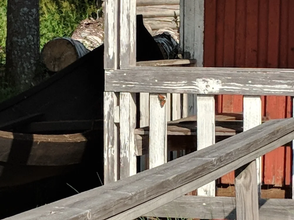 IMG_20180728_172609.jpg