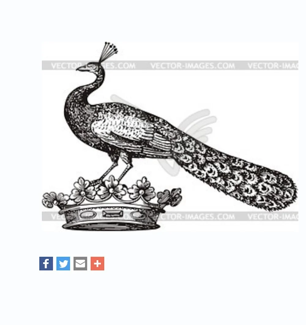 Screen Shot 2020-05-08 at 9.59.40 PM.jpeg