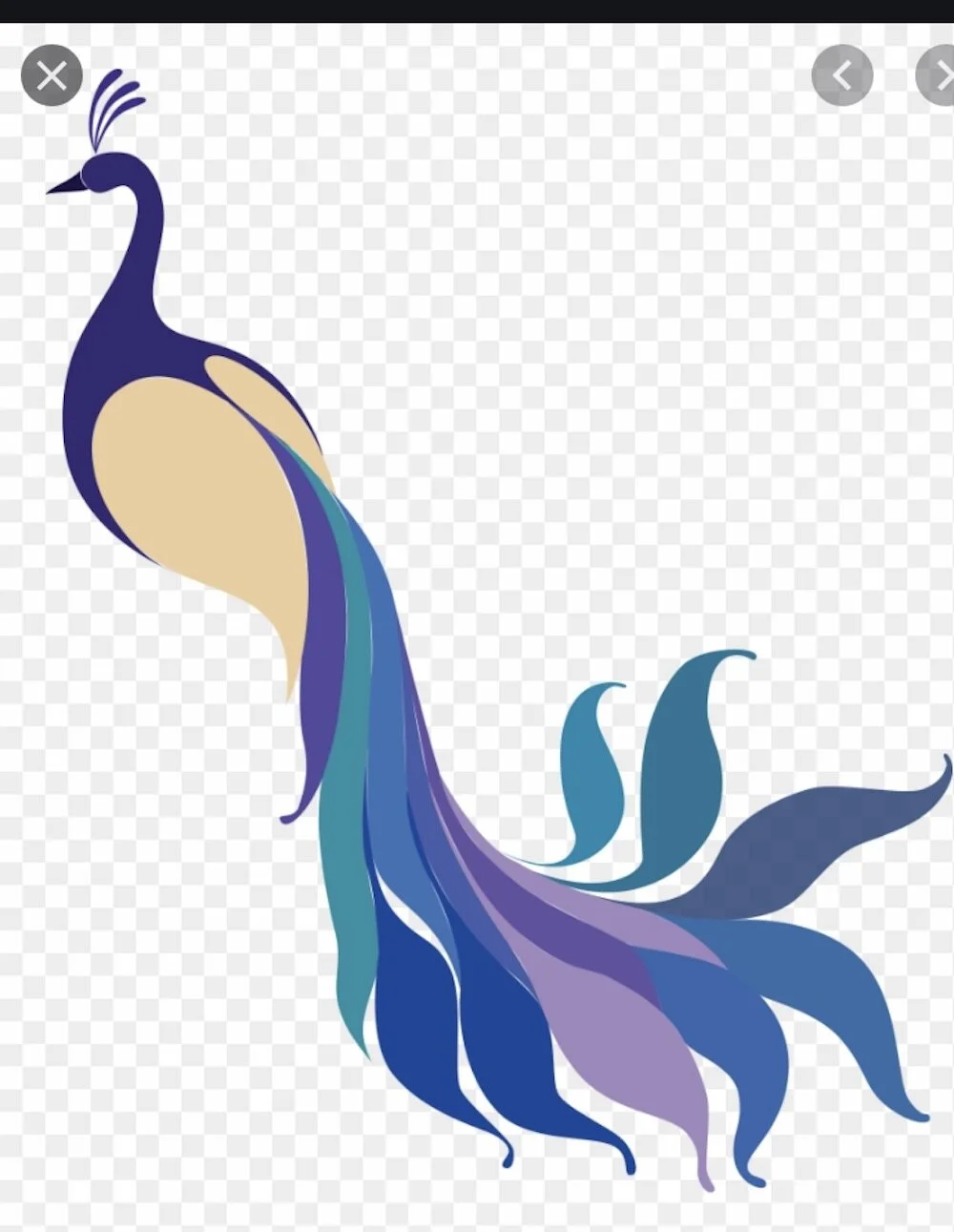 Screen Shot 2020-05-08 at 10.04.13 PM.jpeg