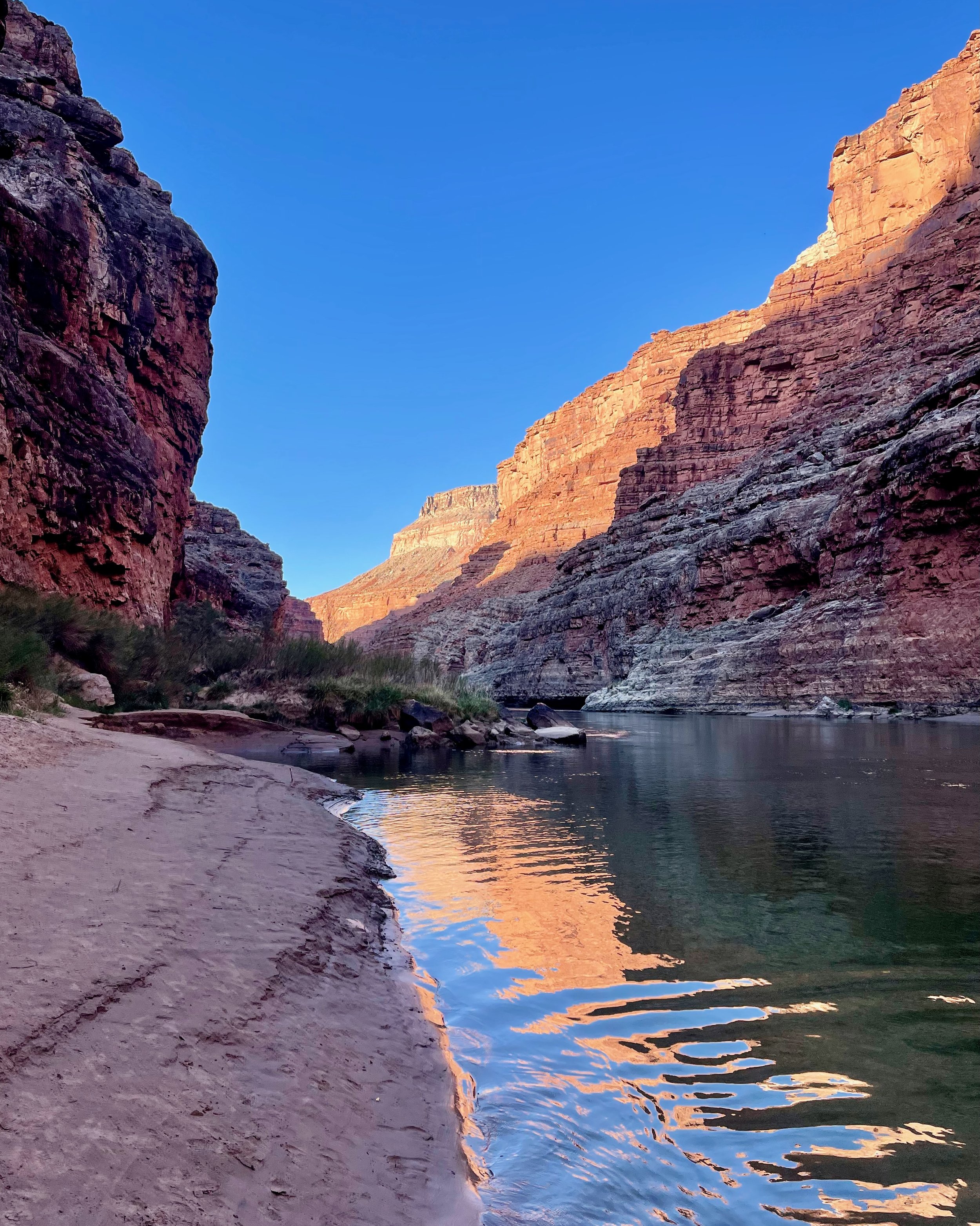 Grand Canyon - 7 of 12.jpeg