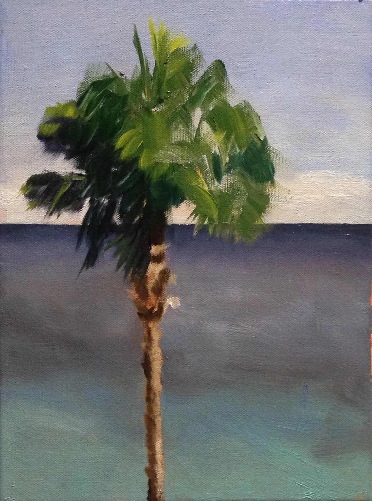 Laguna Palm #1 oil 9x12