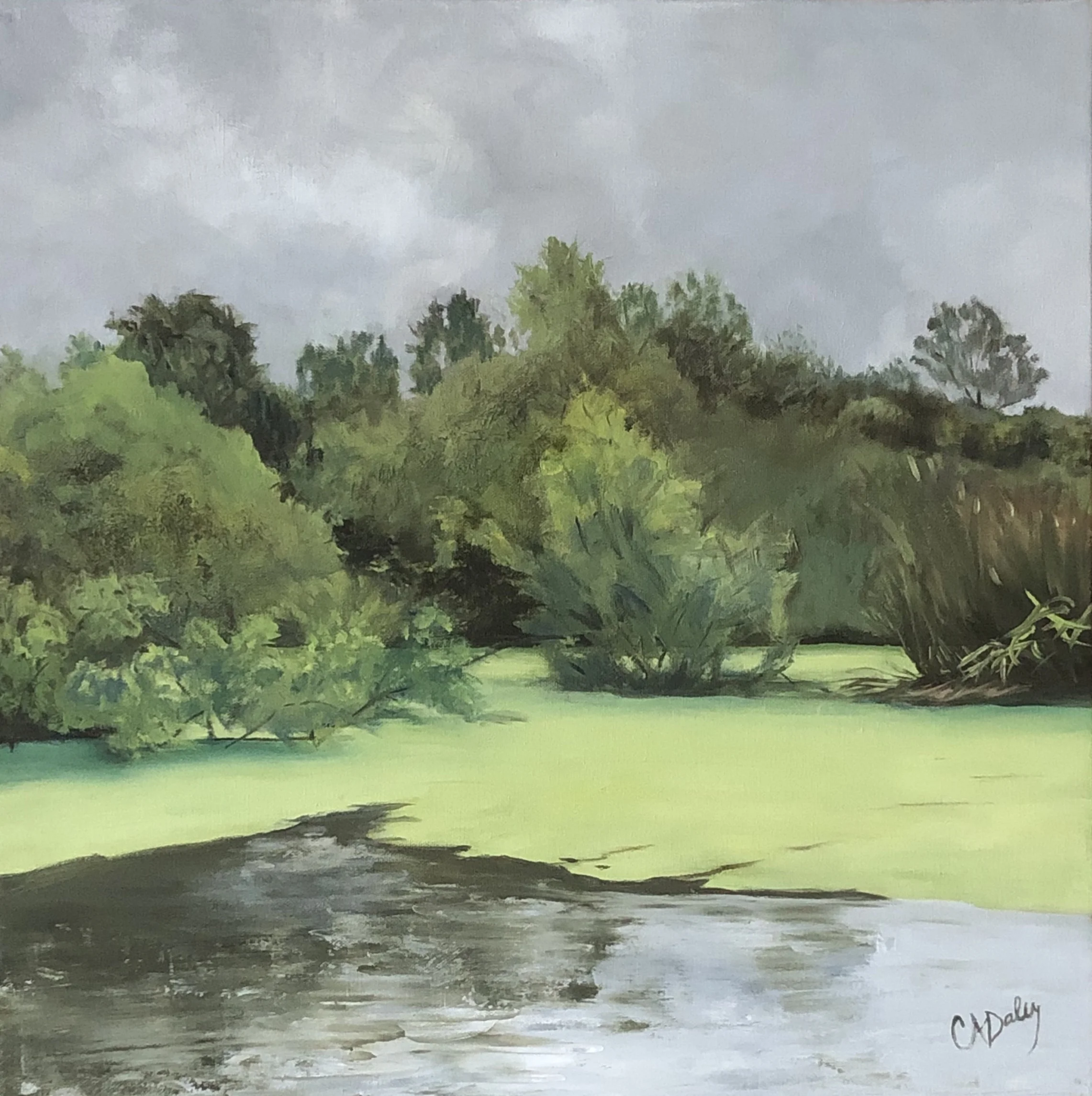 Duckweed #2 oil on canvas 18X18 2019