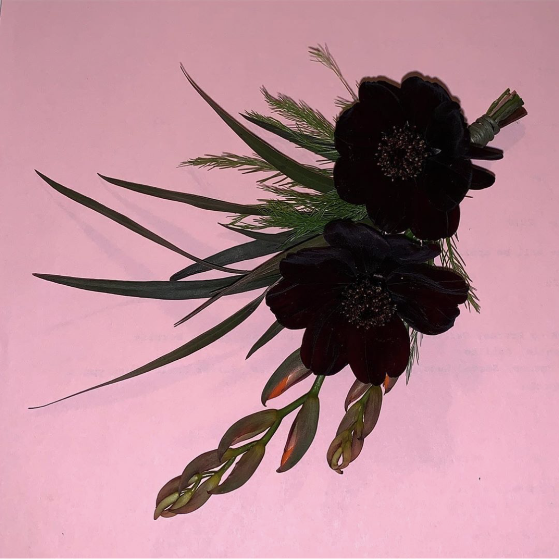 IMG_4860.PNG