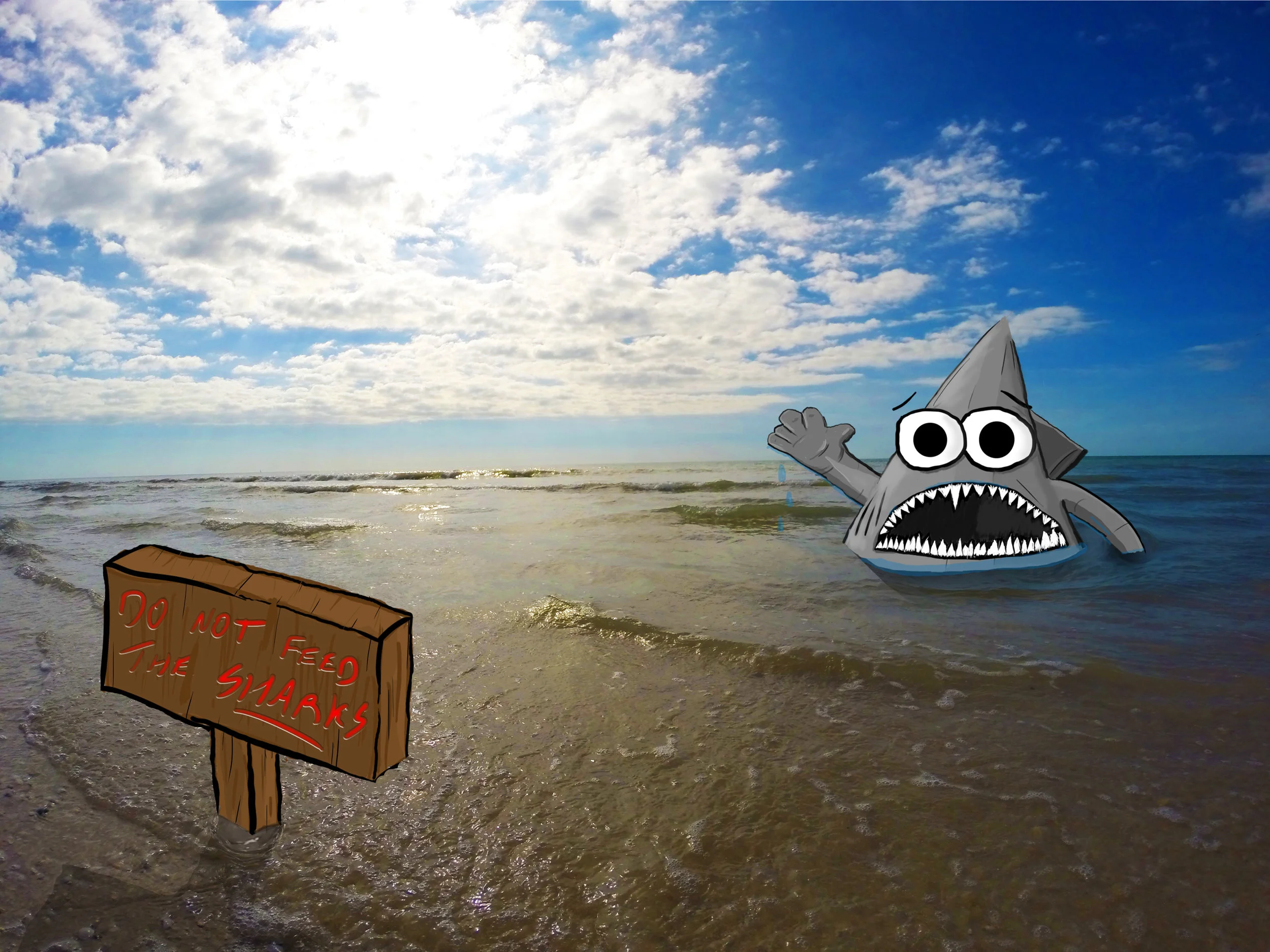 sharks.jpg