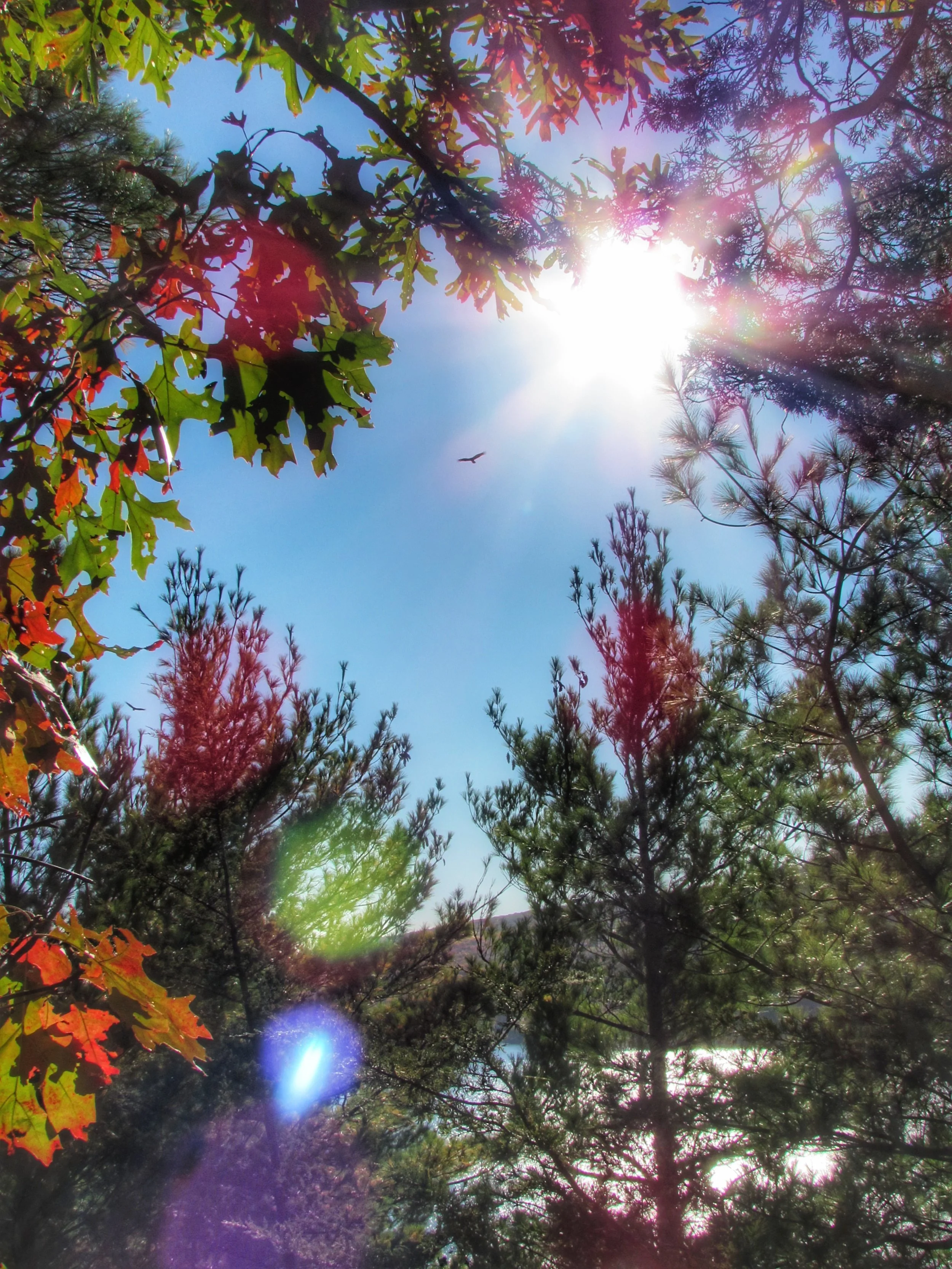 Devil's Lake, Wisconsin