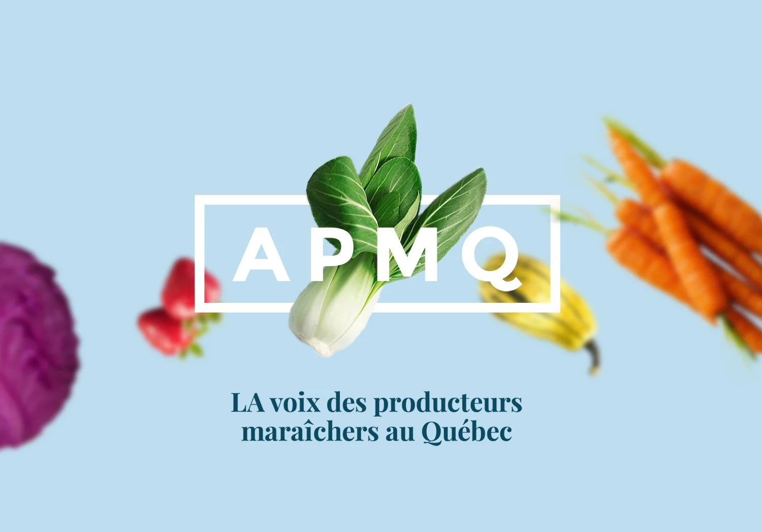 apmq1b.jpg