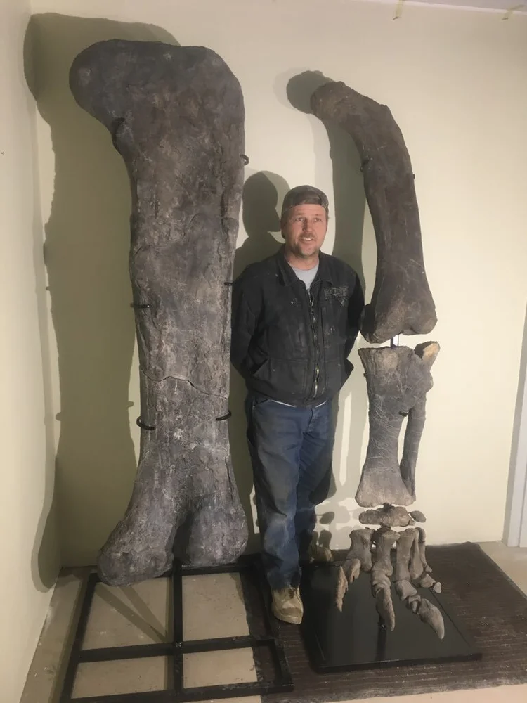 dino - chân.jpg