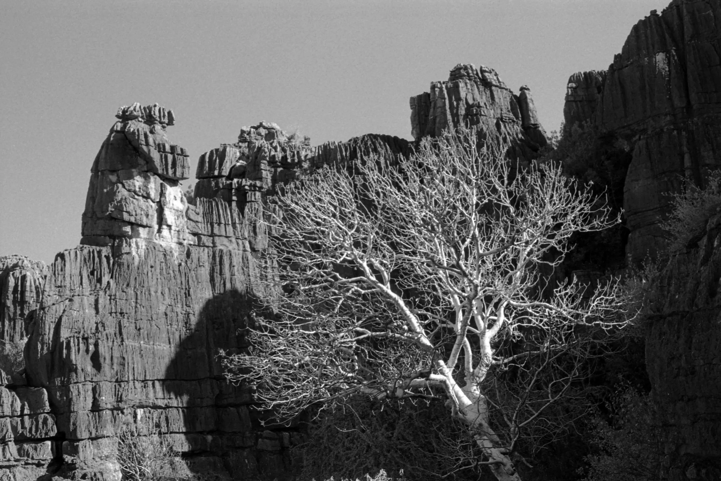img030 copy.jpg