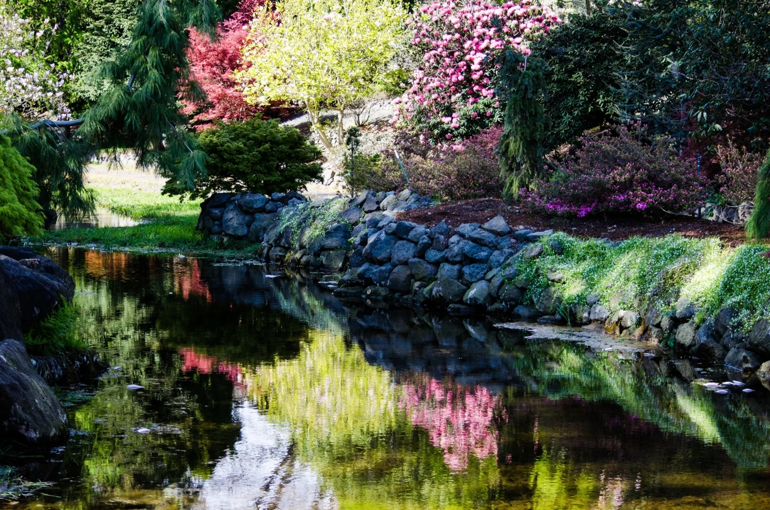 Whitney Gardens by Anna Maria Wolf