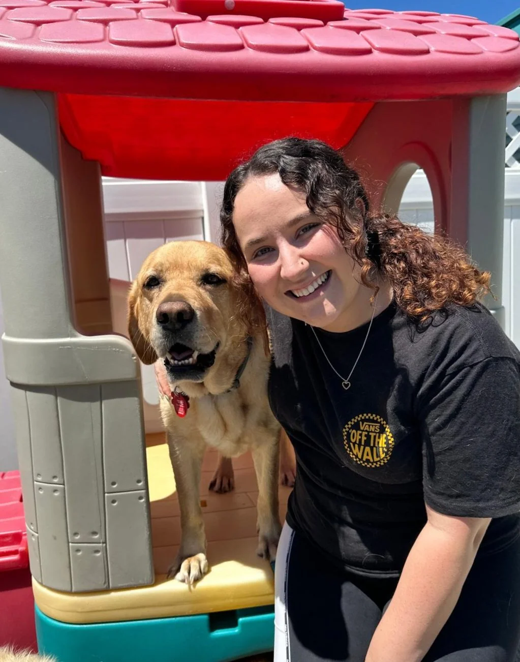 Sophie standing next to yellow labrador retriever Ruby