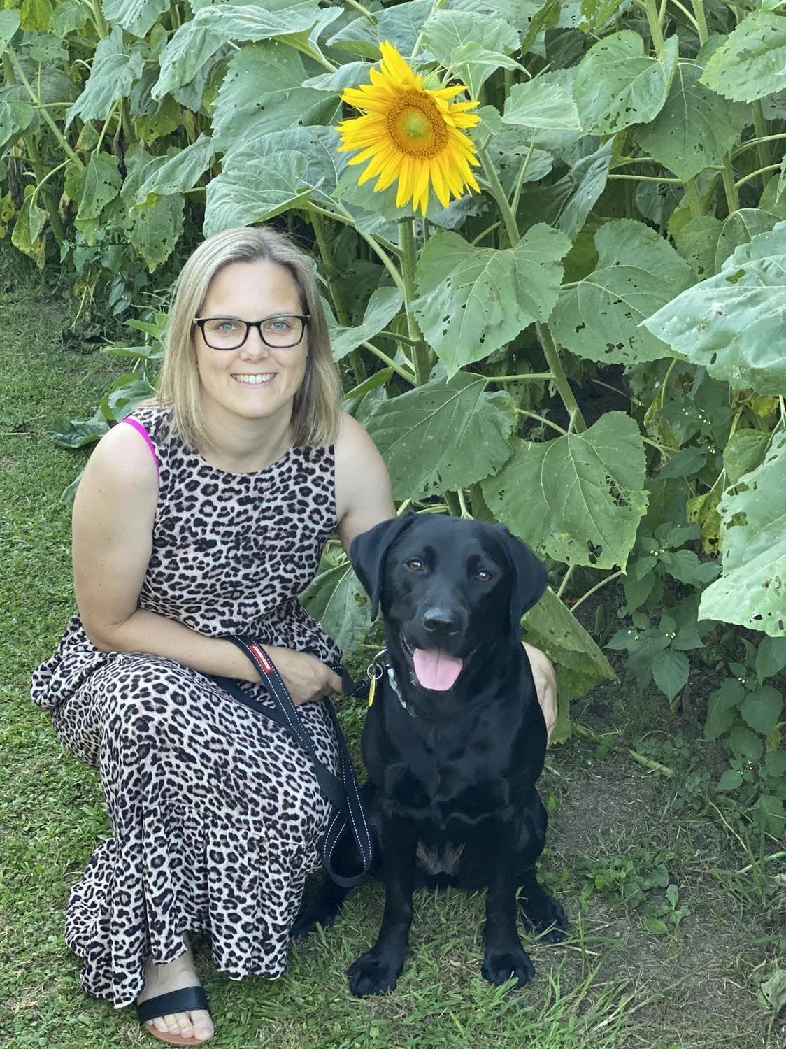Sarah and Remi in front of sunflowers Remi is a female black labrador retriever