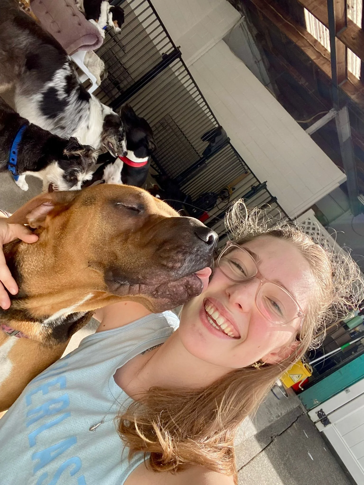 Liv getting licked by a dog on her cheek. There are a few dogs in the back ground too