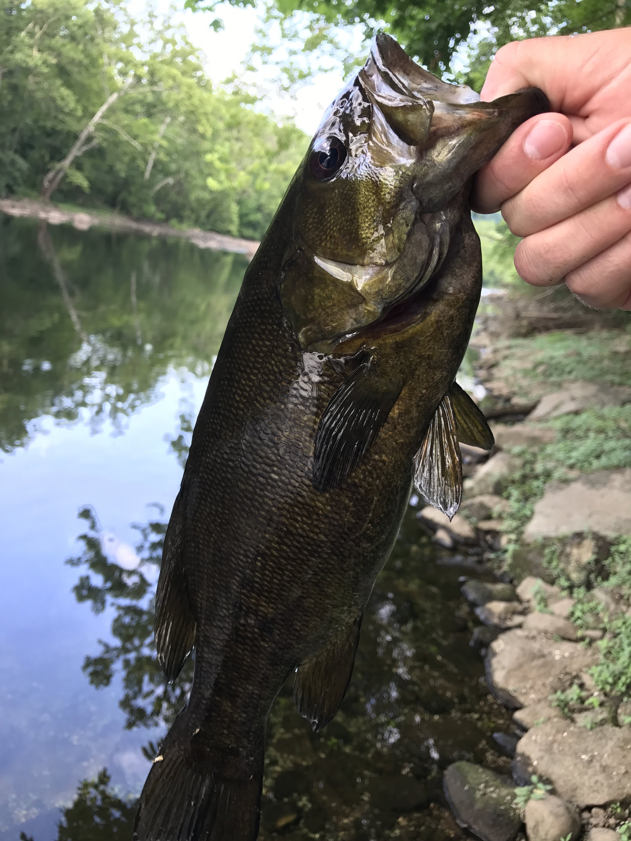 13 Fishing Fate Black Creed Rod/Reel Combo Review — The Average Joe's  Fishin' Co.