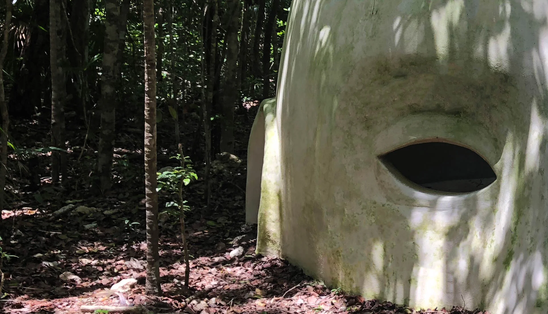 Cabeza Sin Verde.jpg