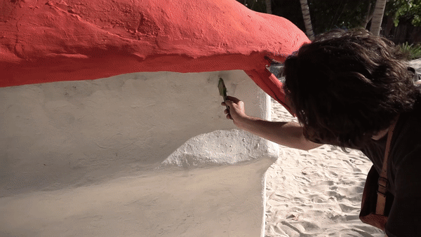 ezgif.com-video-to-gif (1).gif