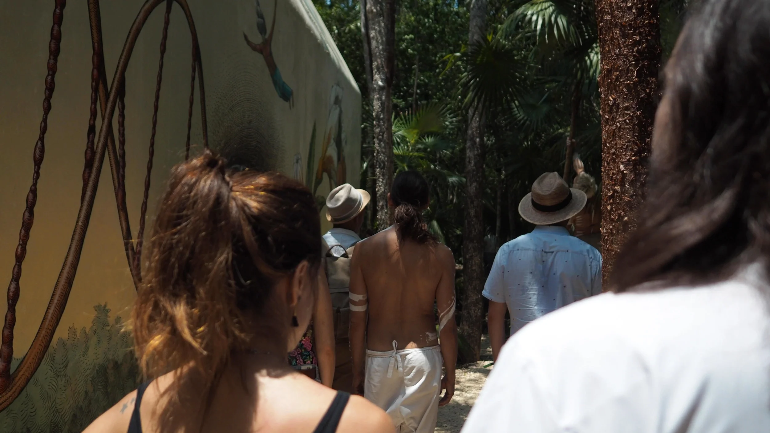 Jungle .jpg