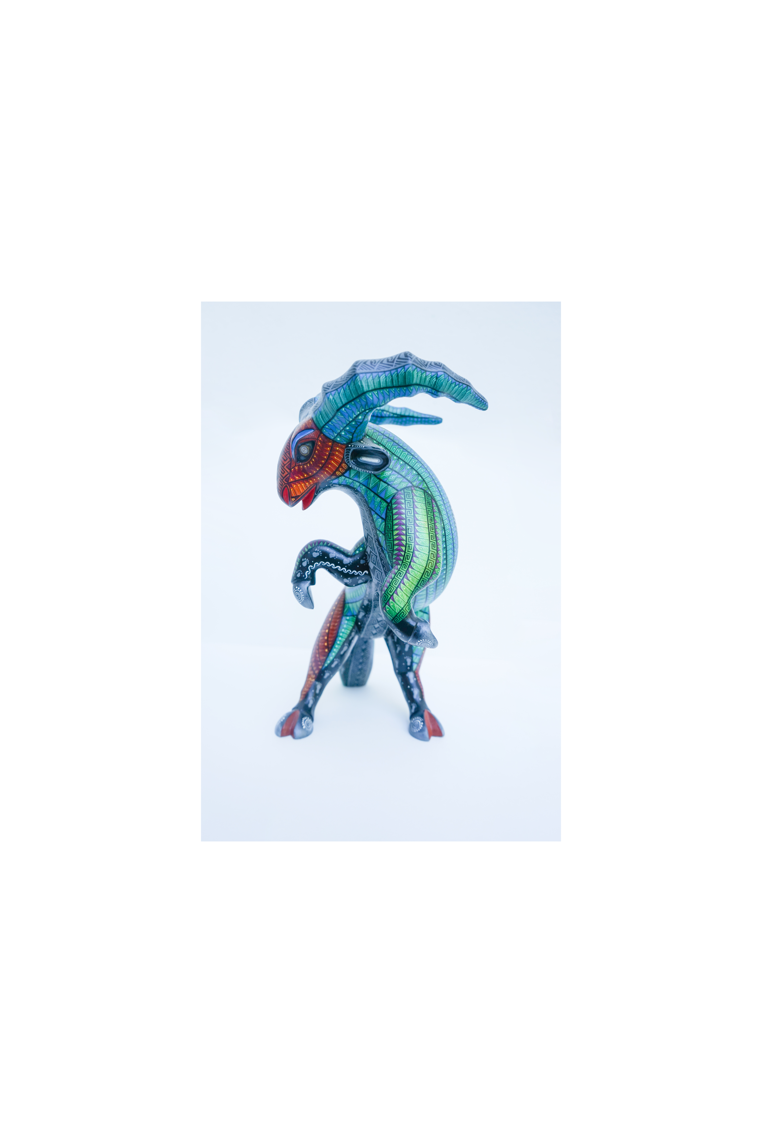 DSC06519.png