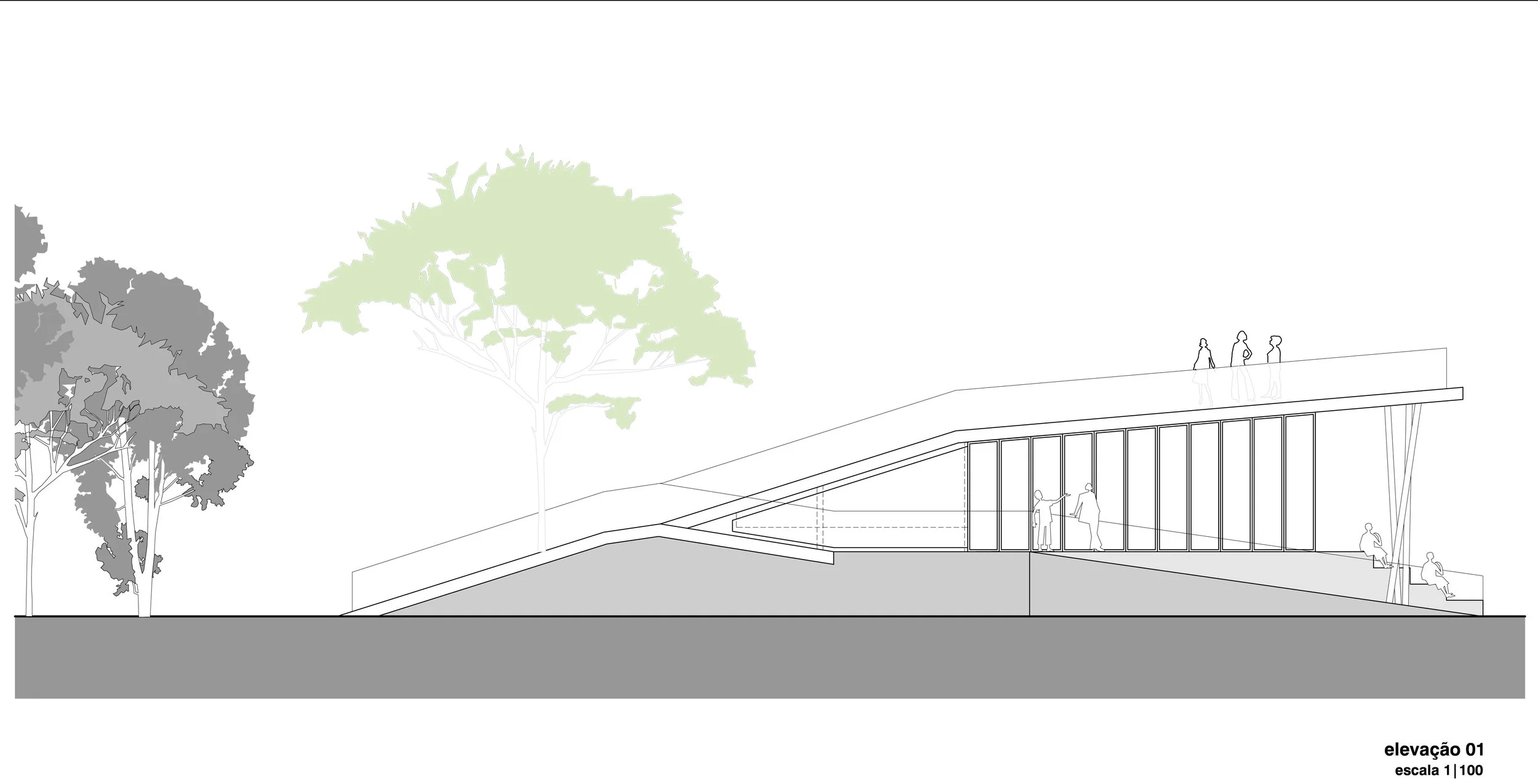 C 11 elevation 01.jpg