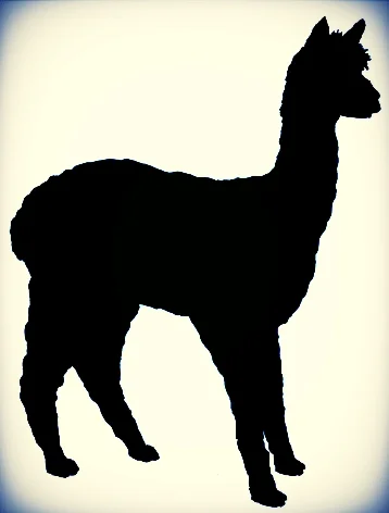 alpaca_silhouette_post_card-r7cc0aaf037a4490b8f3db9a02c4feb8d_vgbaq_8byvr_512.jpg