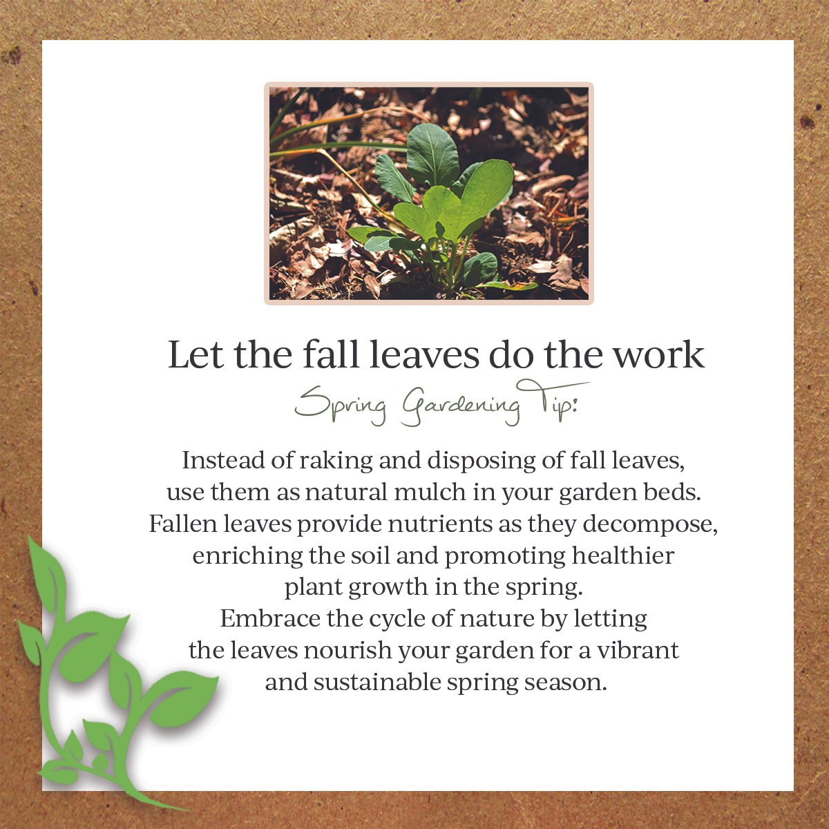 Earth Day booklet SpringTip.jpg