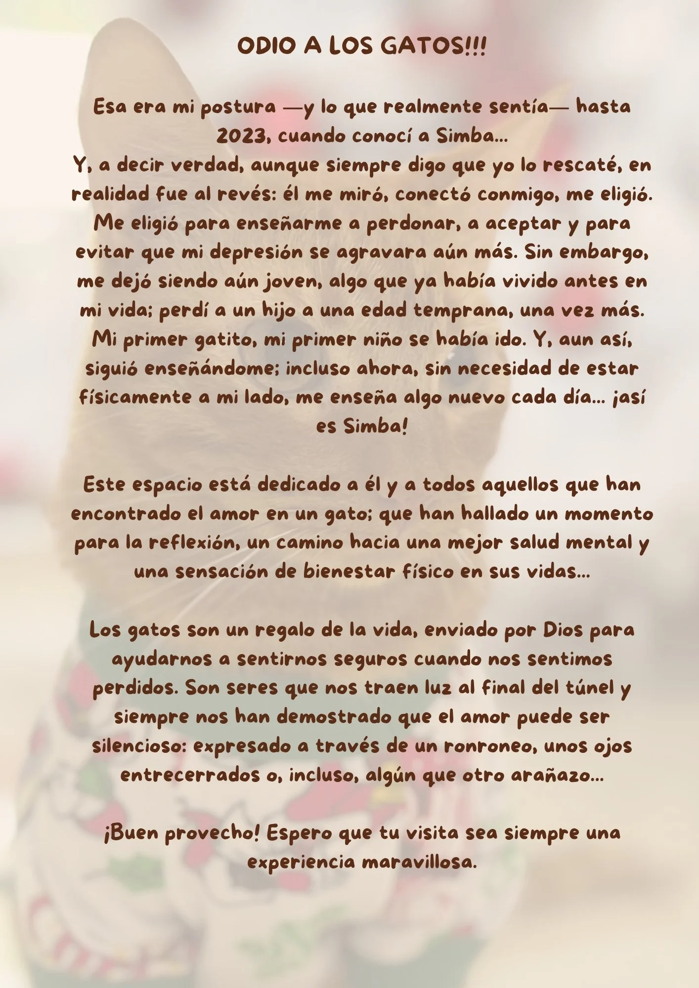 cafecito-de-simba-menu-esp-5.jpg