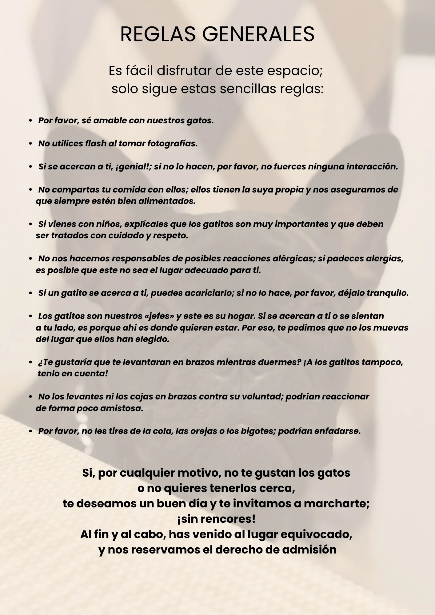 cafecito-de-simba-menu-esp-6.jpg