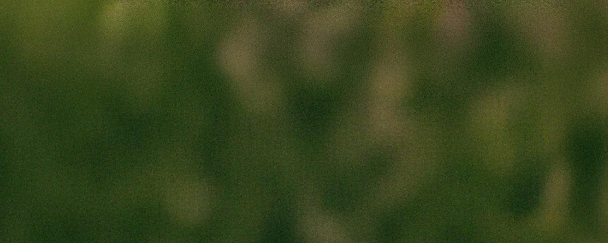 background.png