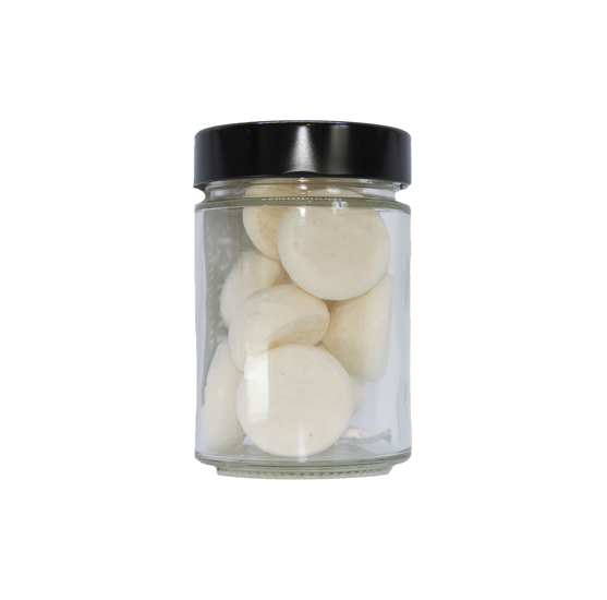 HazelnutS1.png