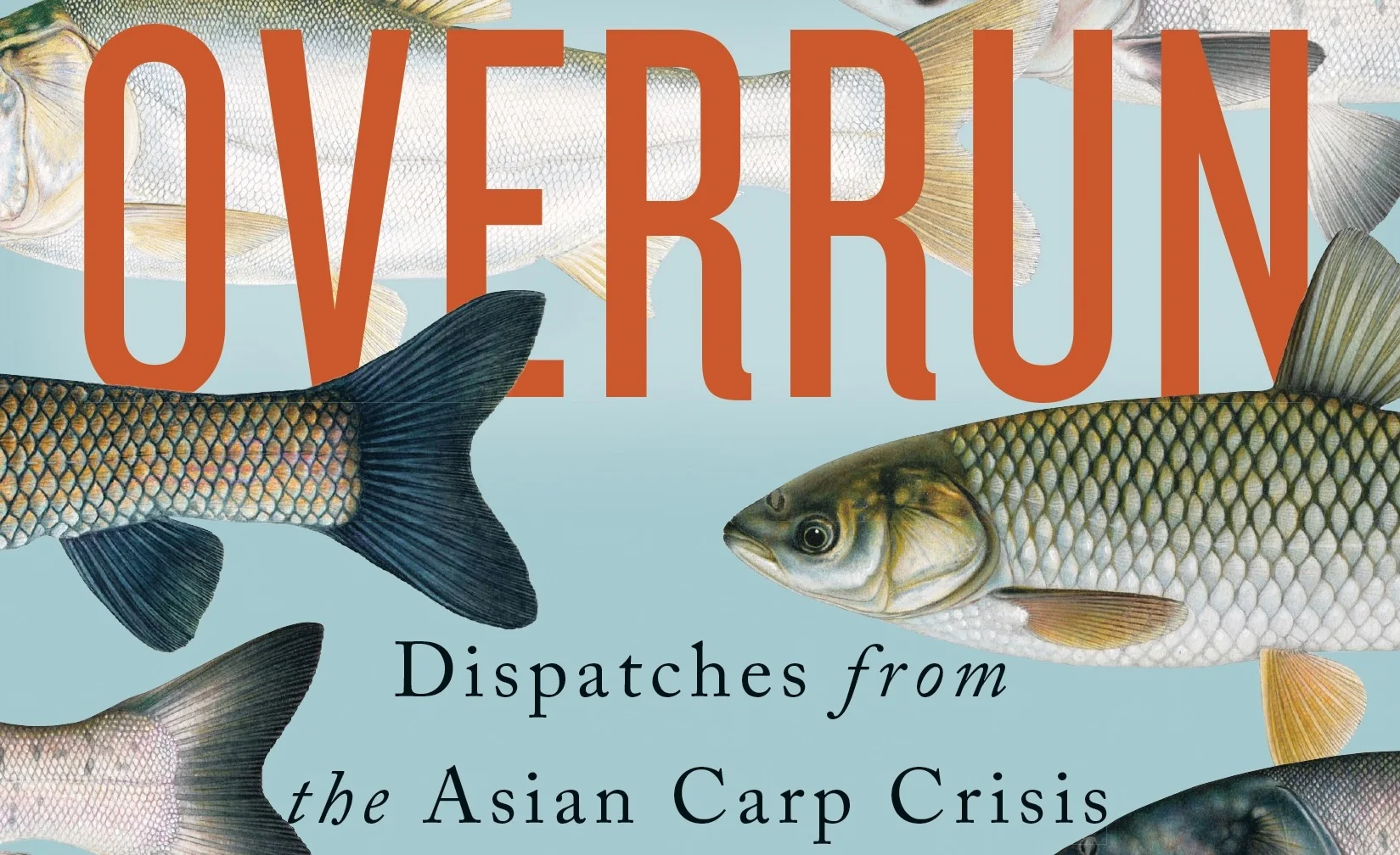 Overrun_cover_hi-res.jpg