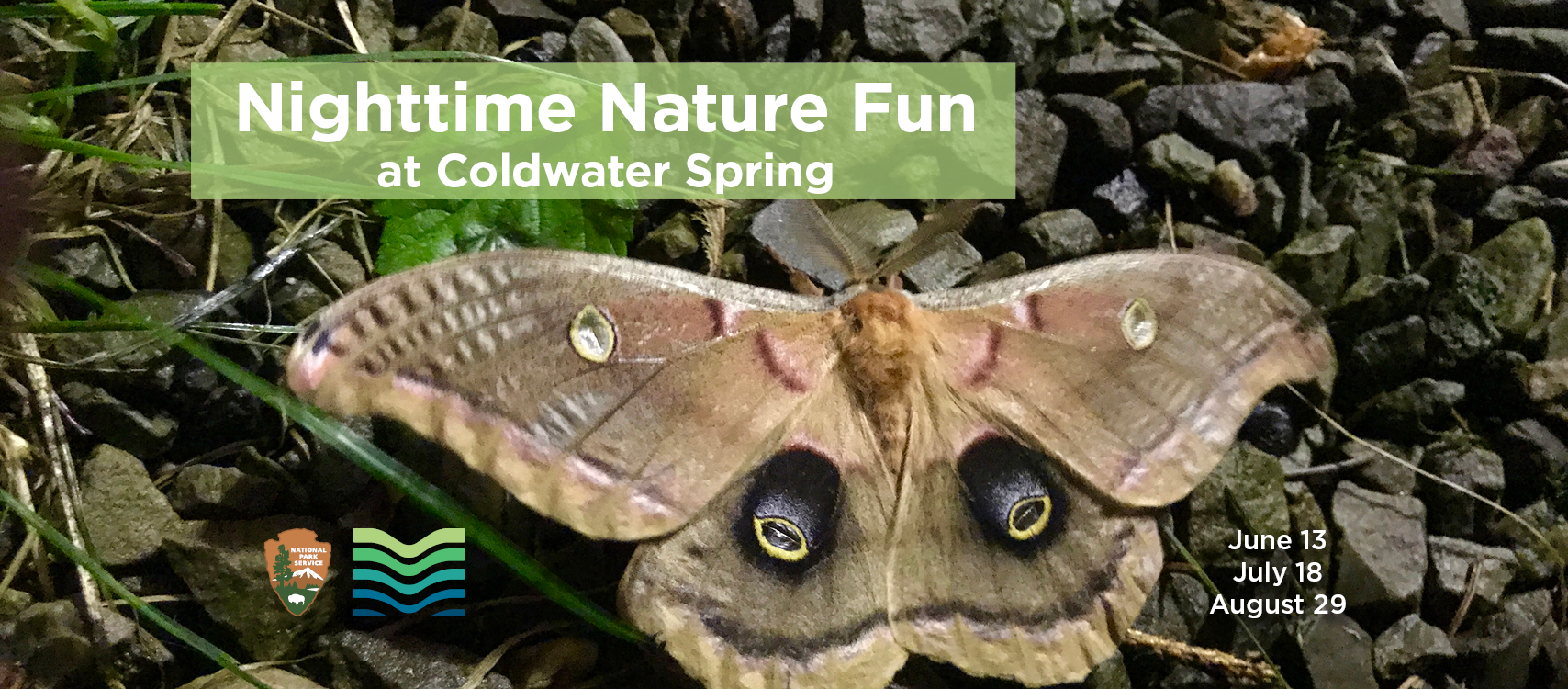 #FindYourPark After Dark with Nighttime Nature Fun