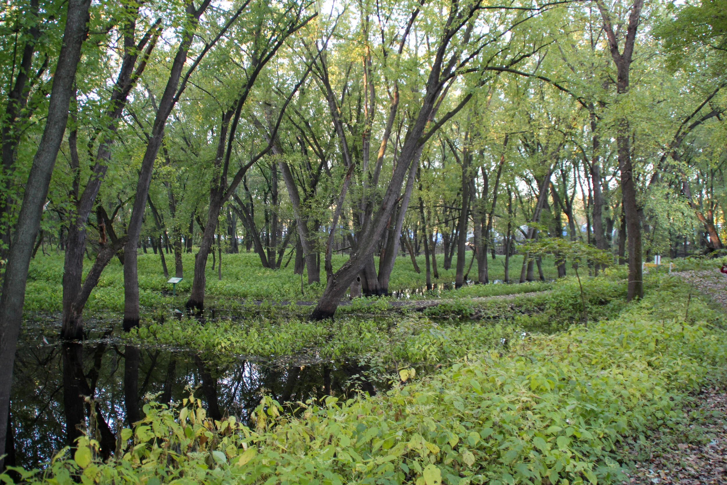 Become a River Learning Center Advocate
