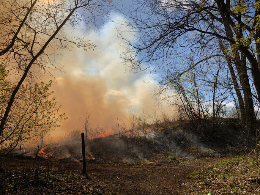 Volunteering at the Coldwater Spring Prescribed Burn