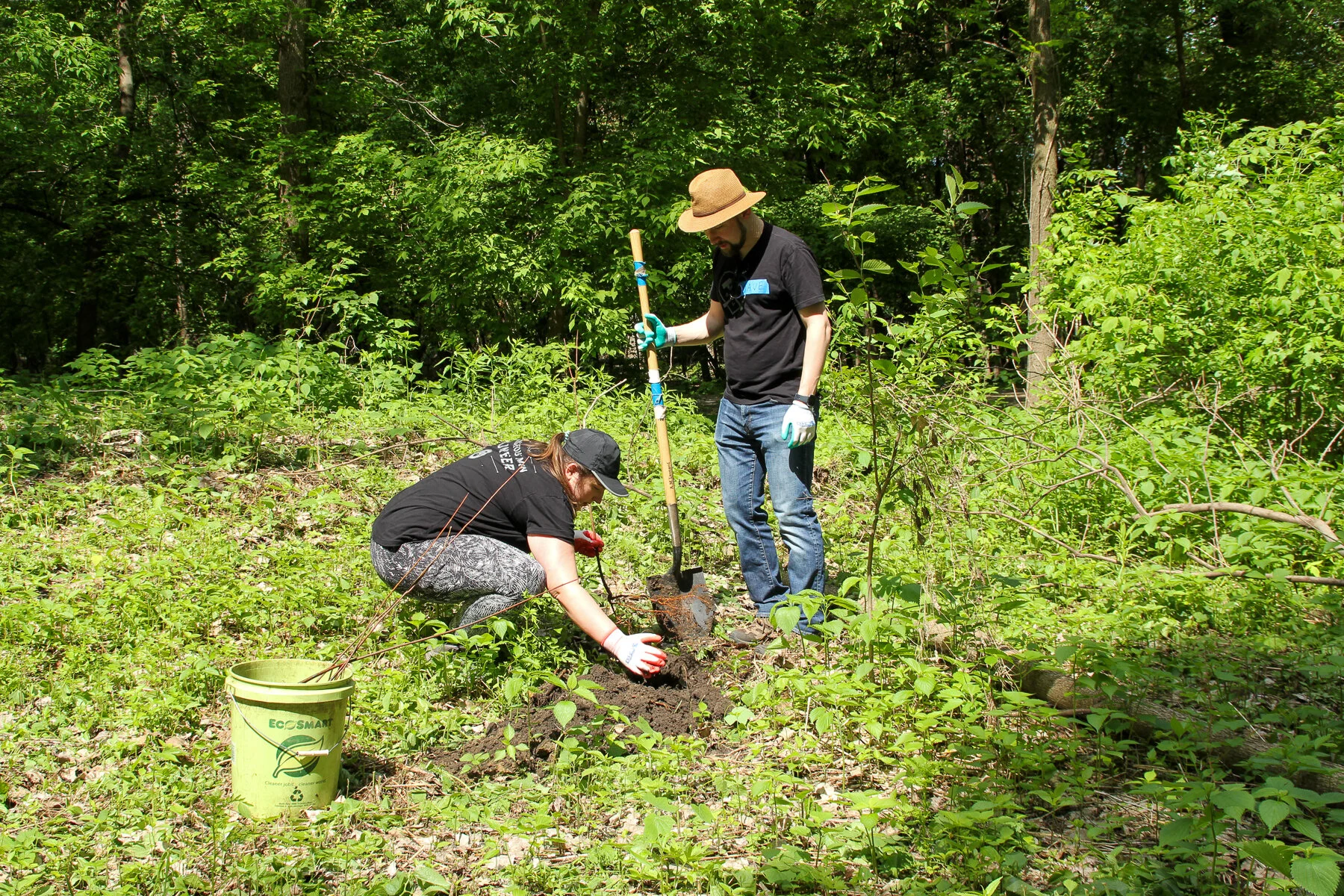 Planting Trees Adapted To Climate Change — Mississippi Park Connection