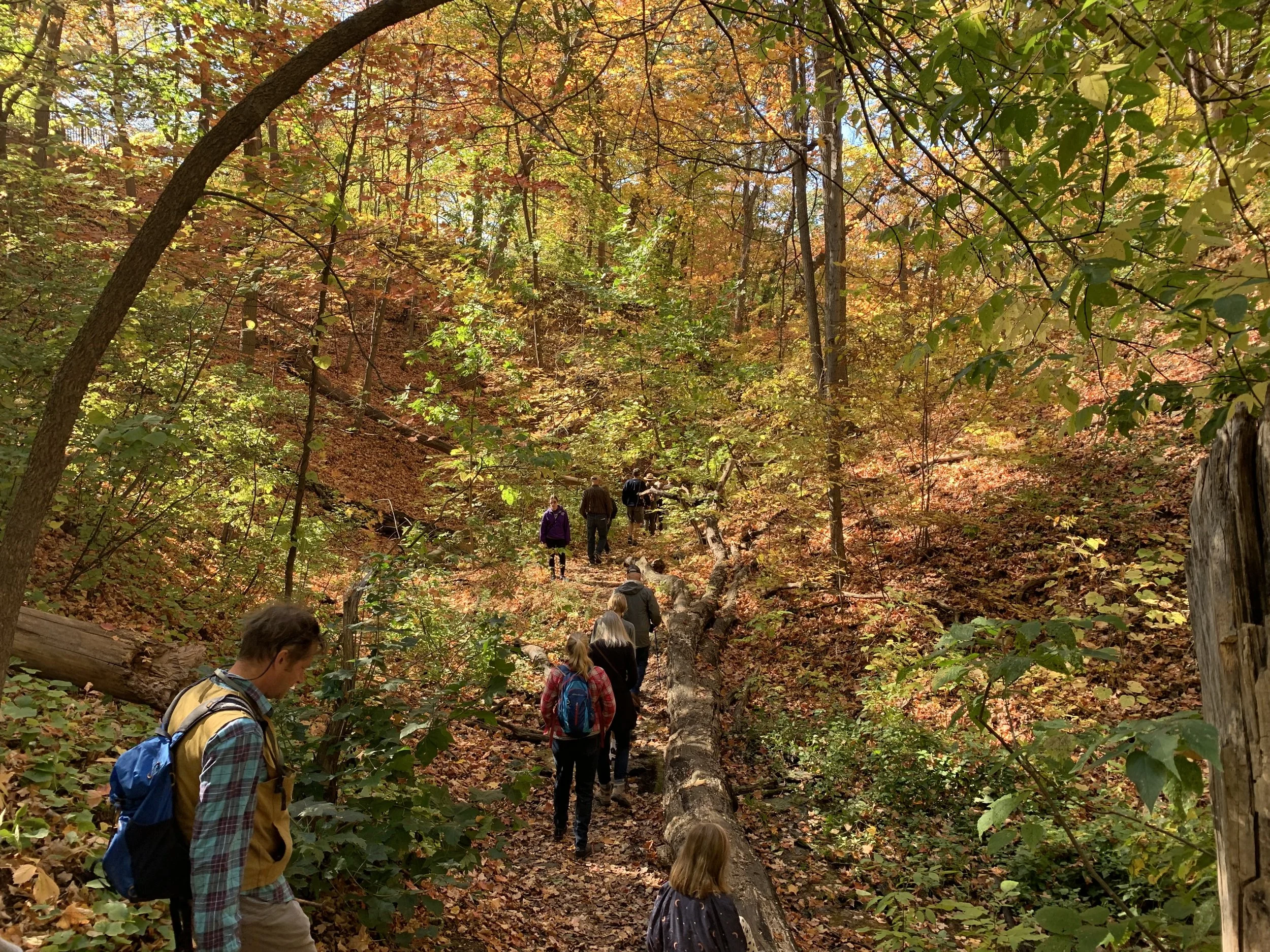 Fossil hunting along the Mississippi River — Mississippi Park Connection