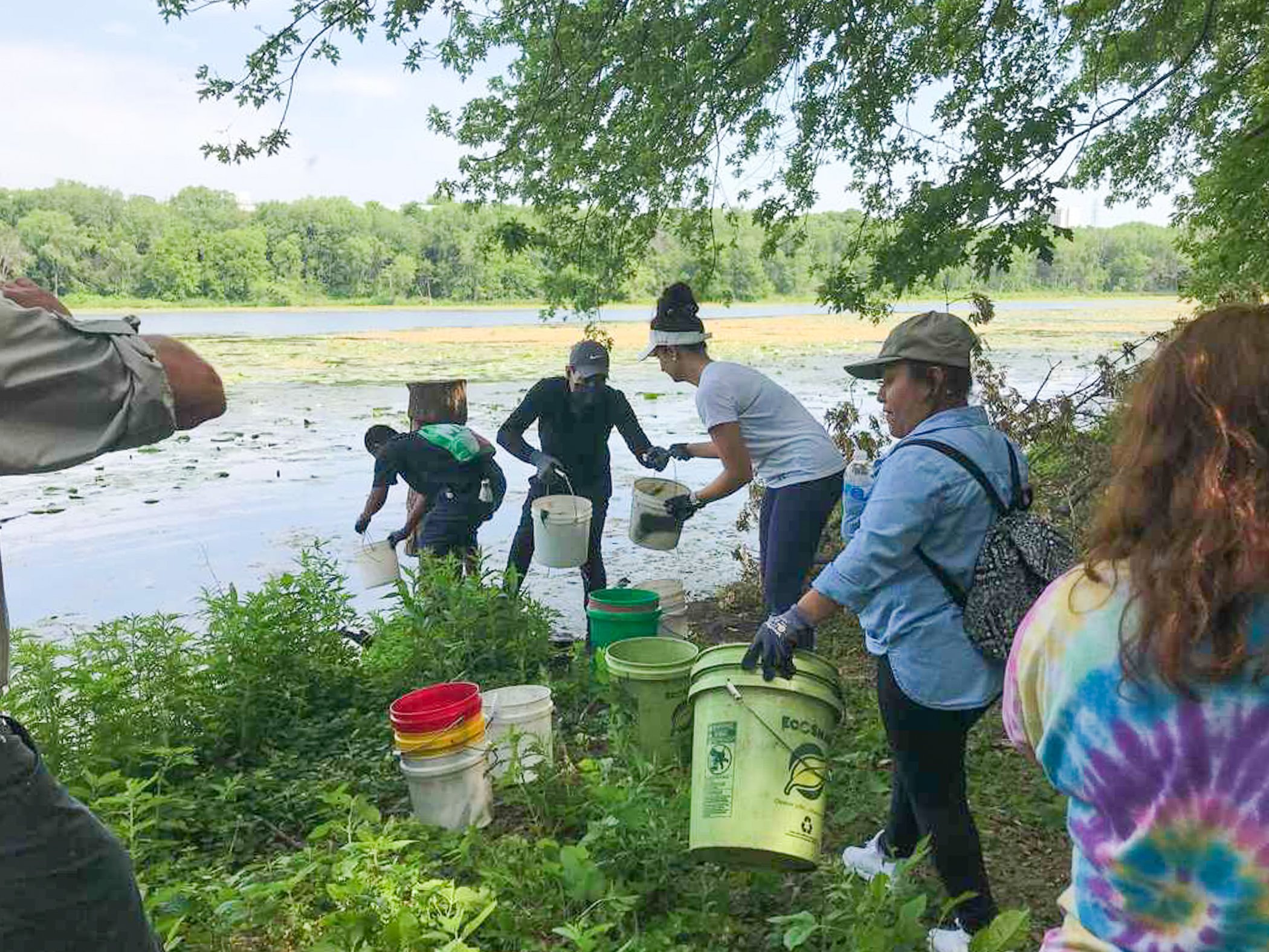  People work together to gather water from a lake by making an assembly line of buckets. 