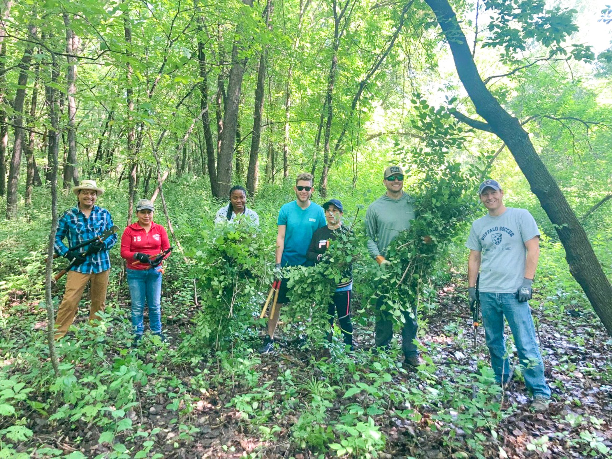  A group of people stand together and hold buckthorn clippings that they have removed from the forest. 