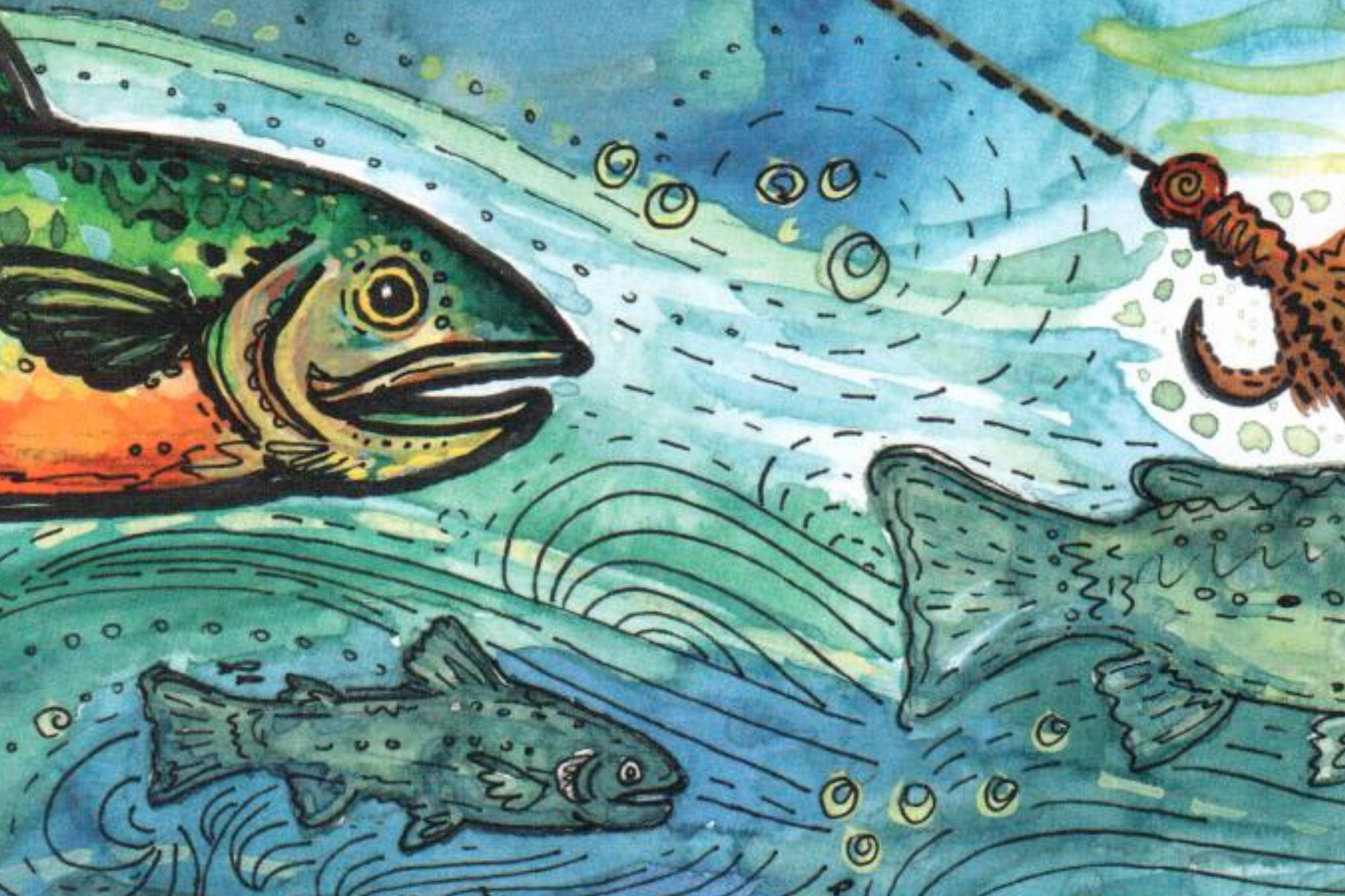 Junior Ranger: Fins and Feathers