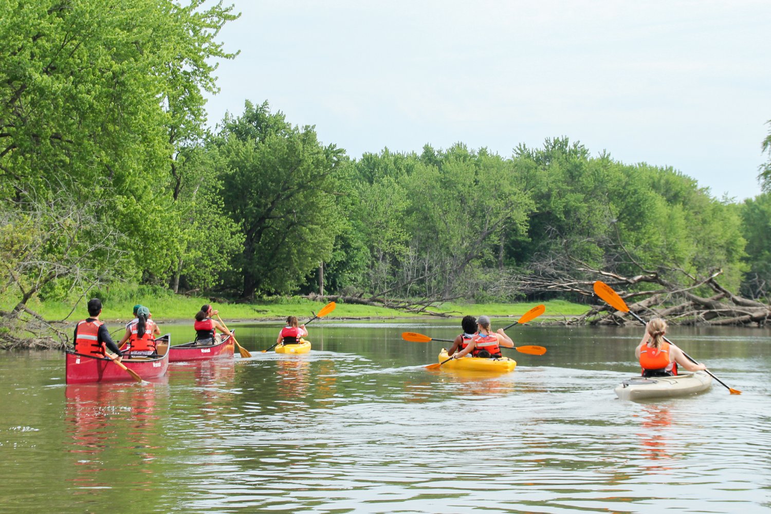 Paddle With A Ranger: Vermillion River Bottoms — Mississippi Park ...