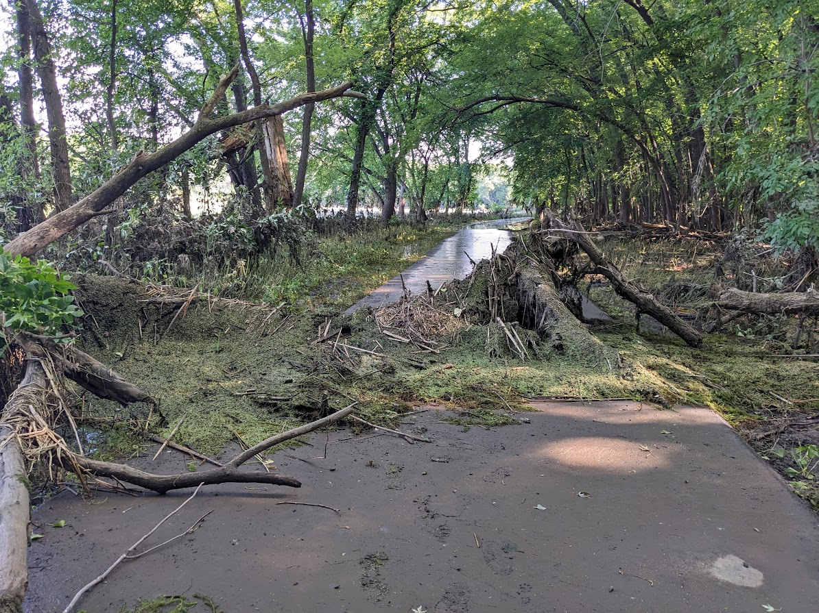 Ascc Plots Article photo 4.png