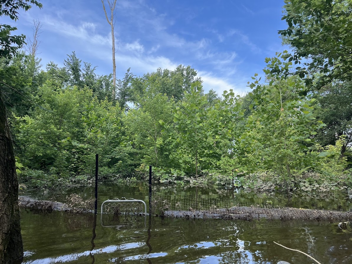 Ascc Plots Article photo 2.png