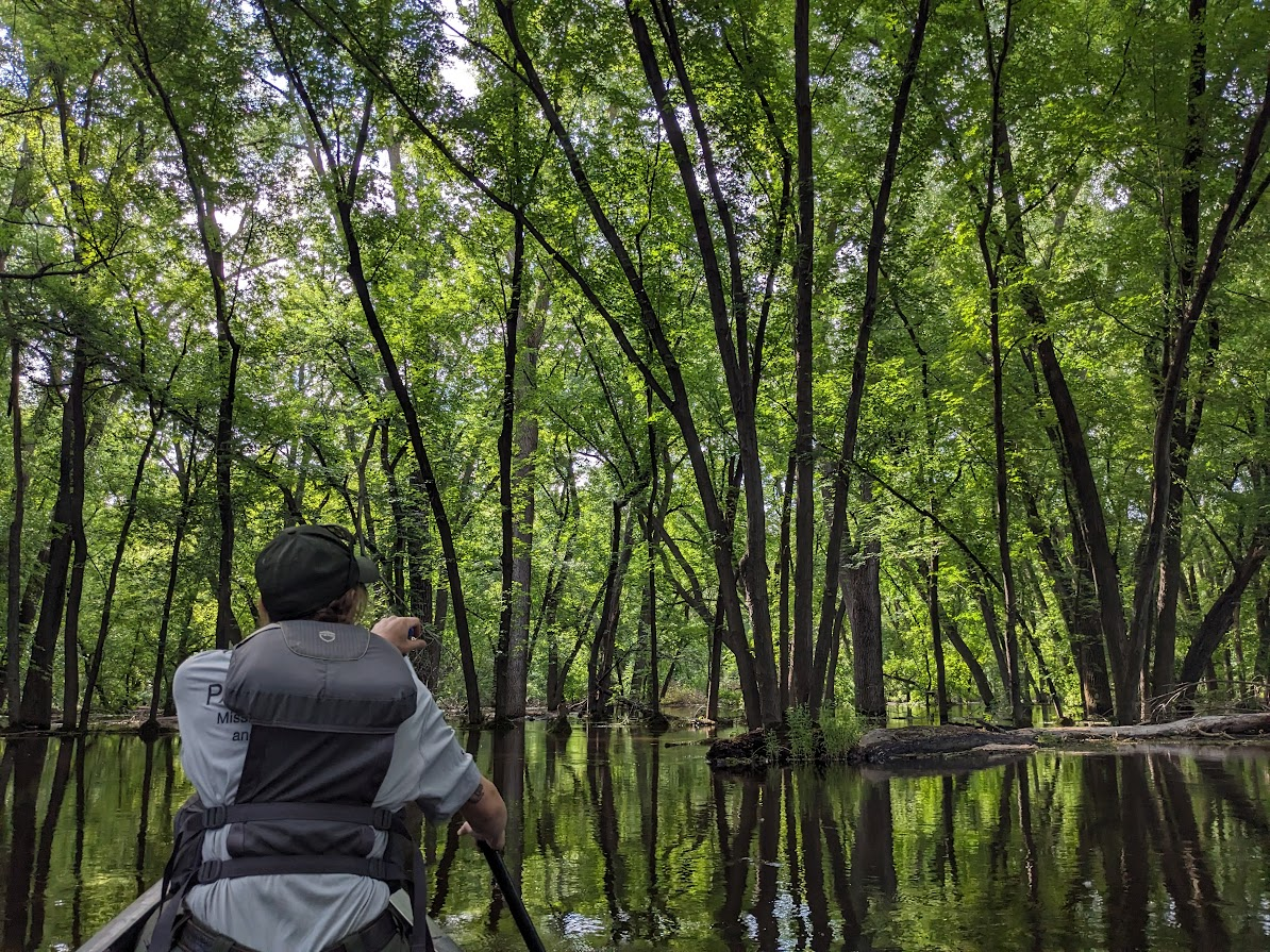 Ascc Plots Article photo 1.png