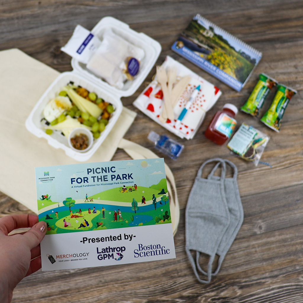 Picnic for the Park Swag 2020.png