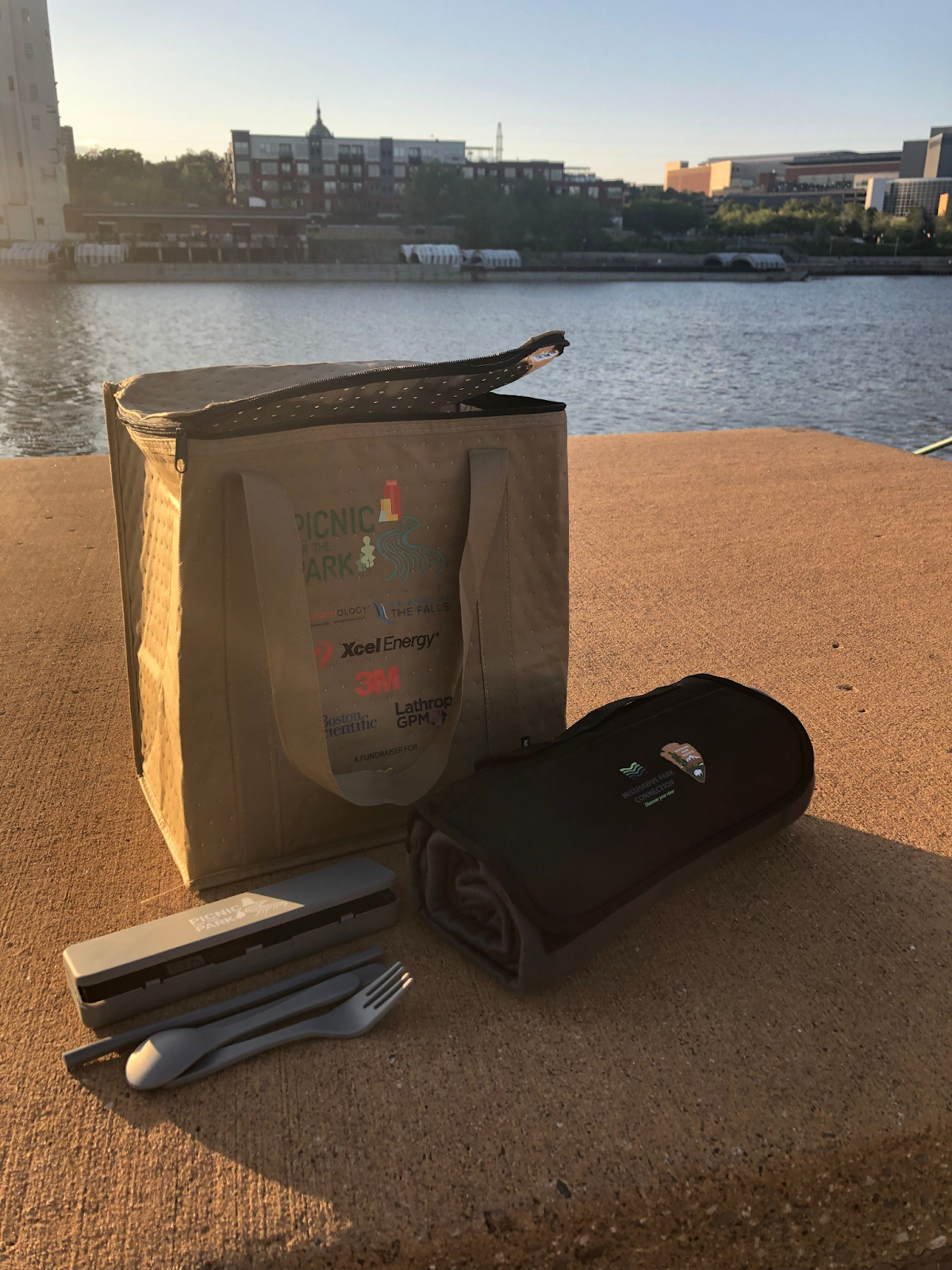 Picnic for the Park Swag 2021.png