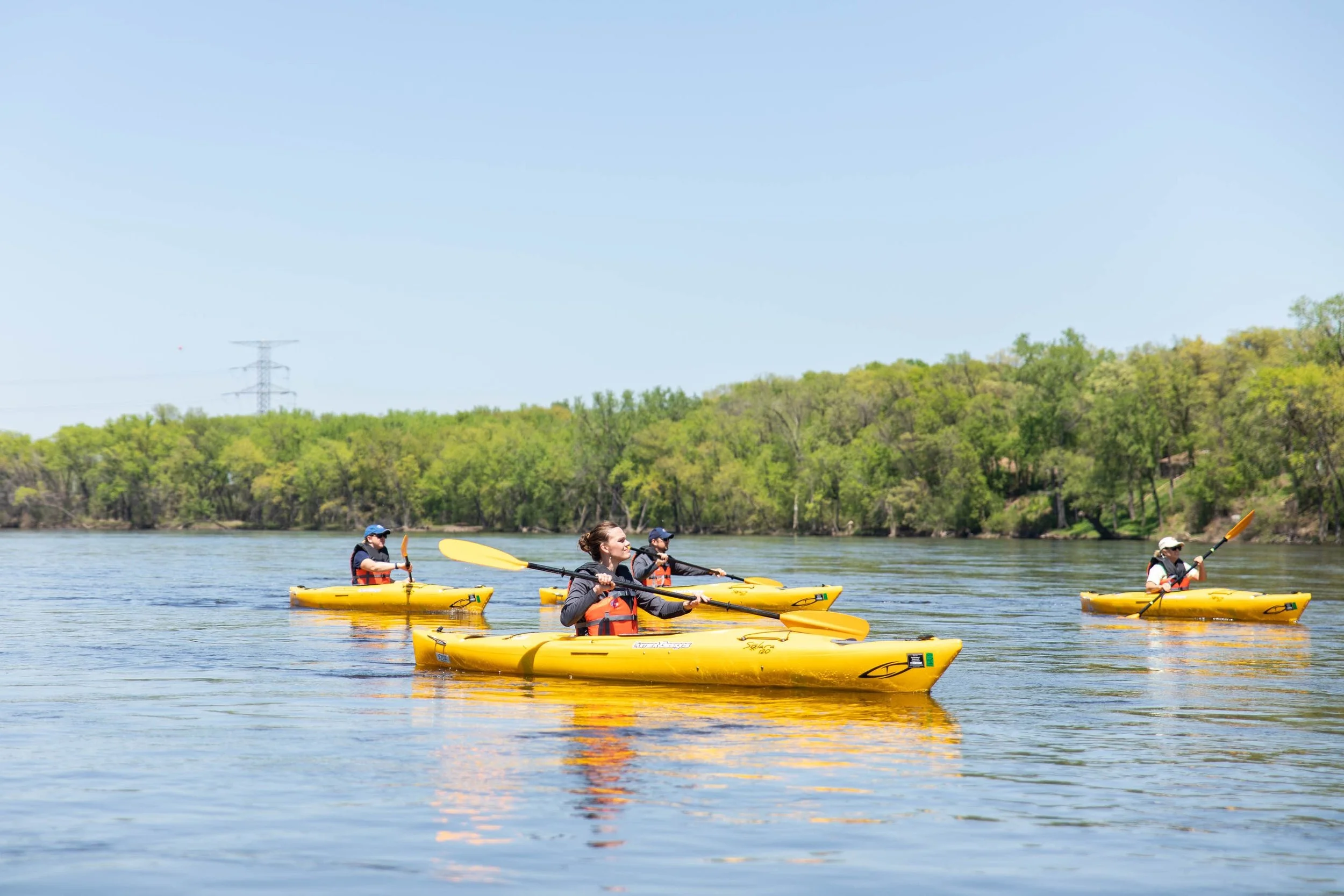 NEW! Paddle with a Ranger: Cottage Grove