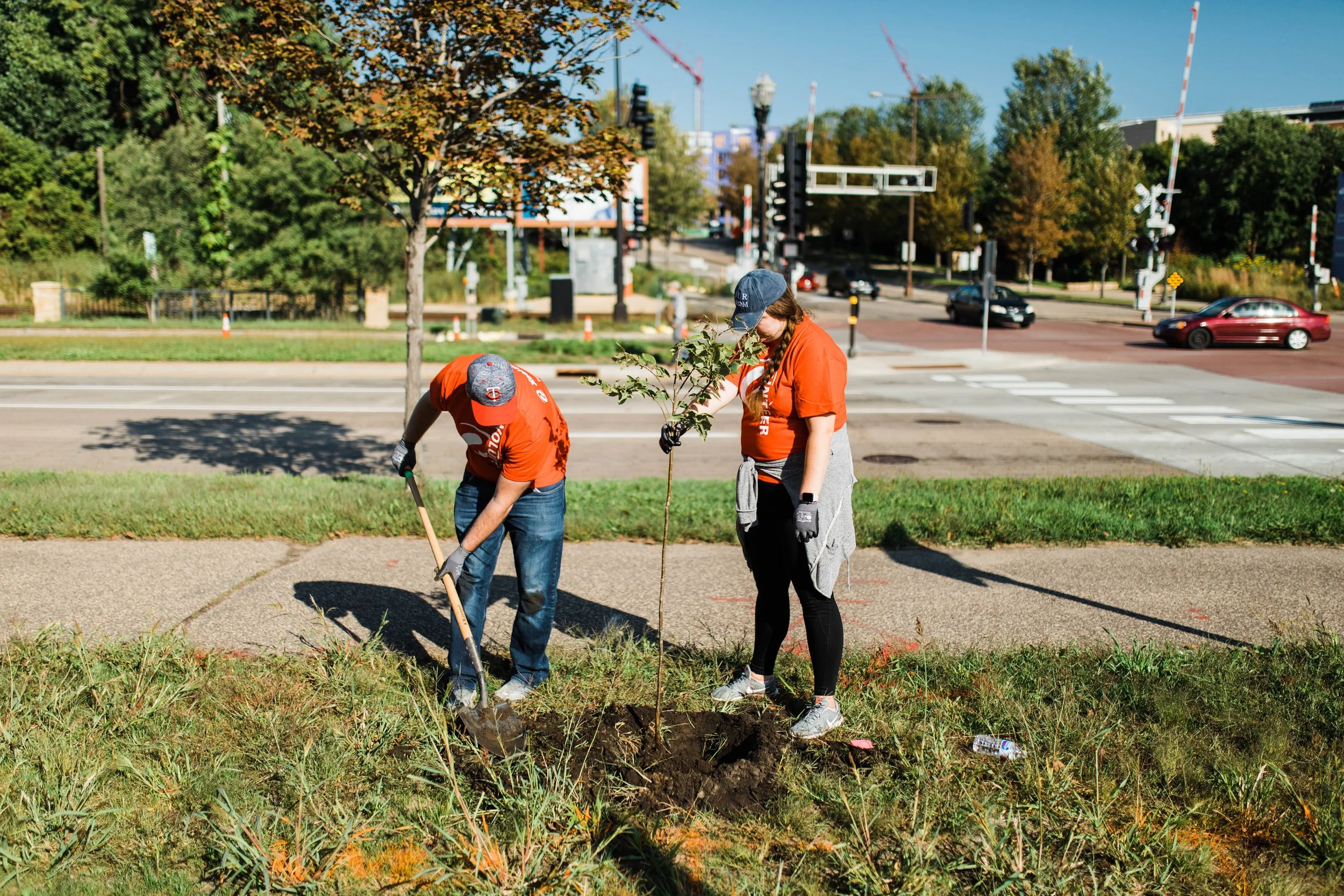 Public Tree Planting