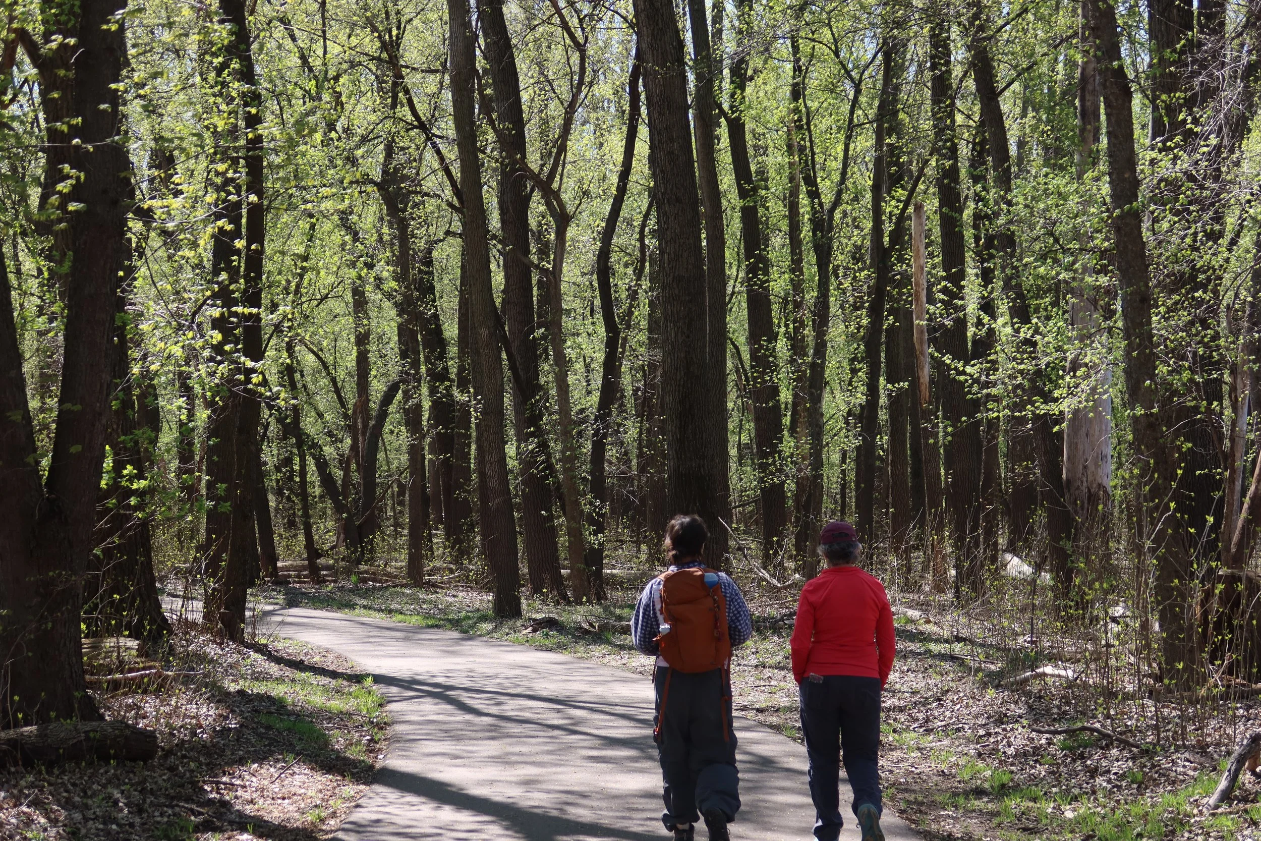 Roots of Resilience: Healthy Forests, Healthy Communities