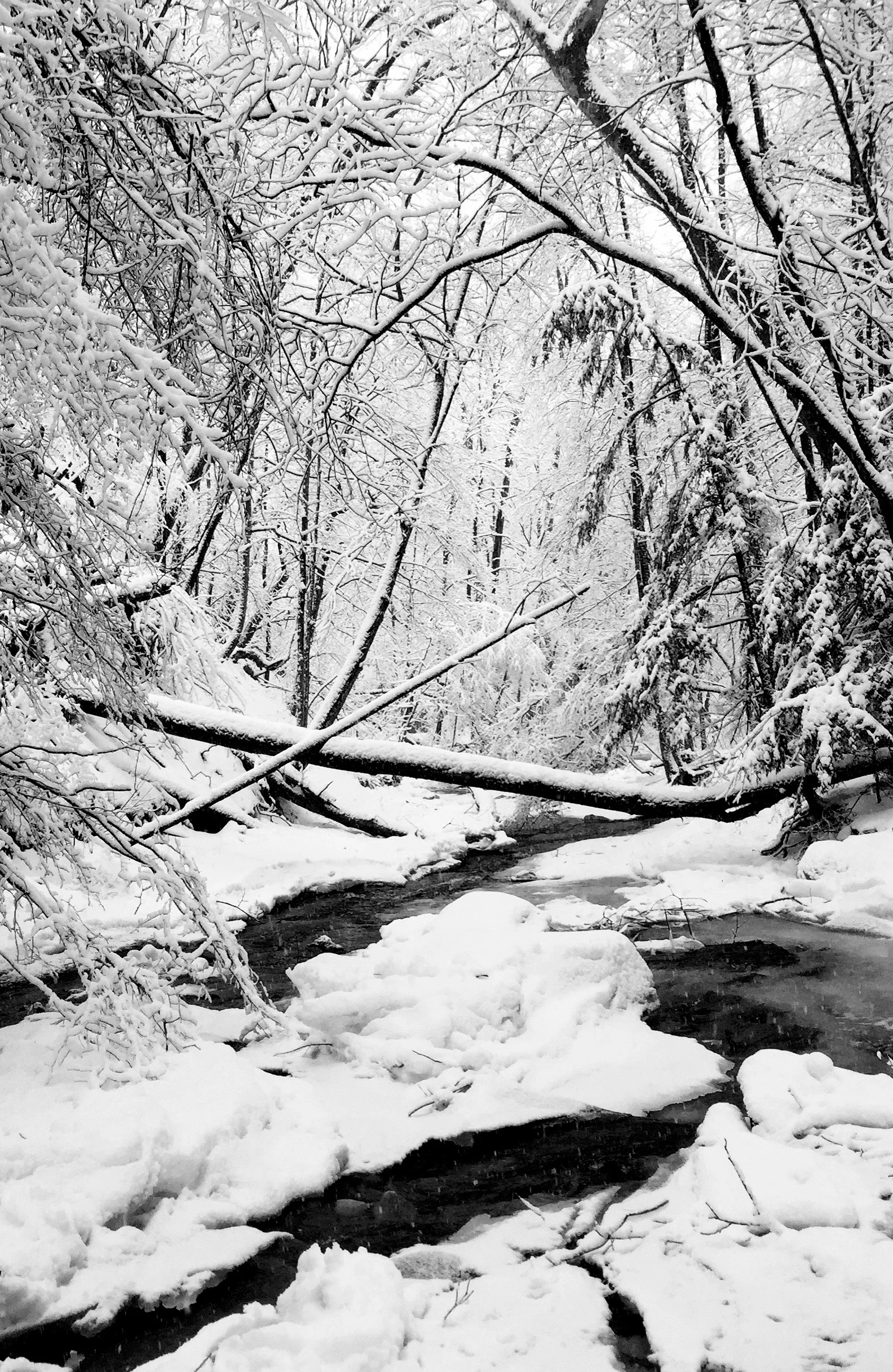 The brook is at its most magical—and most treacherous—in winter. Be wary.