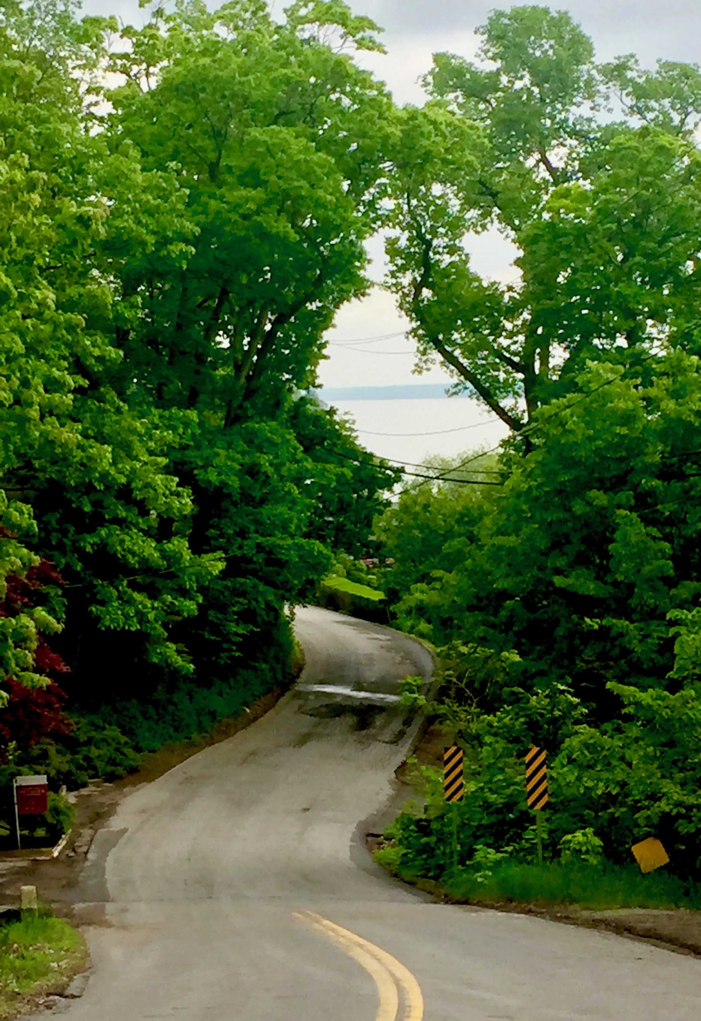Bopple Hill is the endpoint for most walkers, but the view coming down Bopple Hill Rd is a nice perk for those willing to tackle it.
