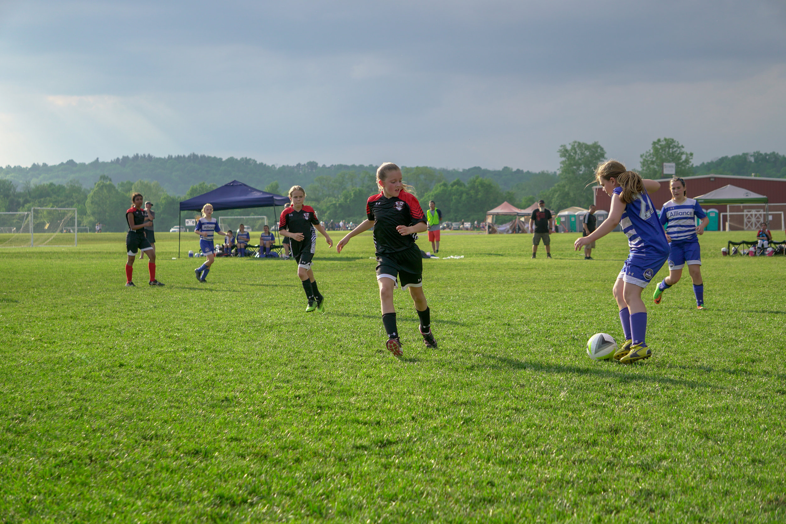_A657105.jpg